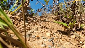 Поработал в карьере..