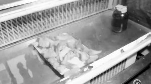 1984 год. Тюменская область. В продовольственных и промышленных магазинах.