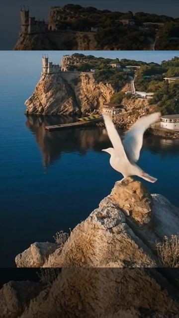 вид на ласточкино гнездо Крым #море #жизньнаморекрым #travel #крым смотреть онлайн