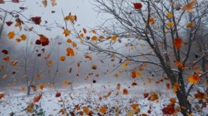 Поздняя осень