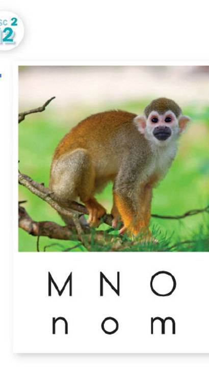 Oxford Phonics 1 disk 2 track 12 смотреть онлайн