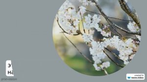 Узнайте все о фамилии Айларов: происхождение, история, значение и склонение этого загадочного имени