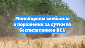 Минобороны сообщило о поражении за сутки 65 беспилотников ВСУ