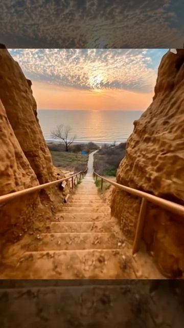 Табун лошадей у белой скалы Крым #жизньнаморекрым #travel #крым смотреть онлайн