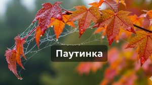Паутинка