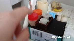Сквиши собаки. 
Пишите снимать ли мне их?