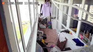 Приключения синицы в гостях у Йоды со счастливым концом)