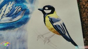 как нарисовать синицу синичку