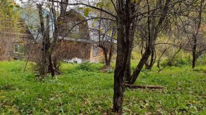 Отточенных Временем вежливых фраз...