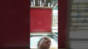 день рождения