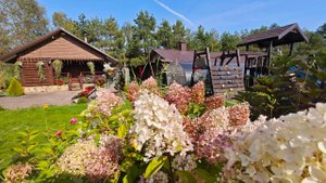 Дом в деревне Ашково. Готовый бизнес. Баня, питомник растений, гостевой дом.