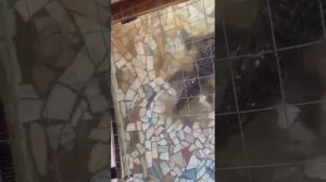 Кормили крокодила