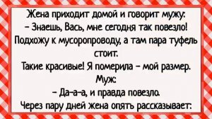 Как Коля первый раз потрогал! Сборник свежих анекдотов! Юмор