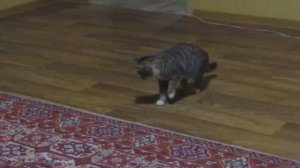 Истина где-то рядом