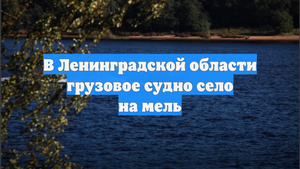В Ленинградской области грузовое судно село на мель
