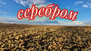 Не ожидал здесь это найти копнул и офигел от такой находки.