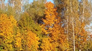Бабье лето. 20 сентября