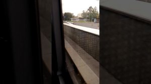 Катаюсь на 215 автобусе.