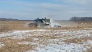 давим камыши на ЛЭП линии