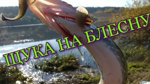 ОСЕННИЙ ЖОР ЗУБАСТОЙ ЩУКИ