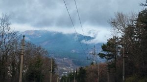 Крым, горы, лес, Ялта