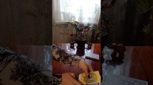 Таро.События вашего дня.