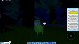 ~Feather Family~^^Новая птица Кокапо!! (Обзор на птицу Кокапо)^^