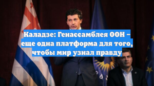 Каладзе: Генассамблея ООН – еще одна платформа для того, чтобы мир узнал правду