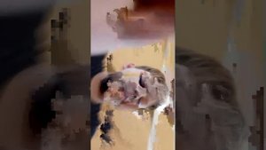 попробую зайти в minecraft на стриме