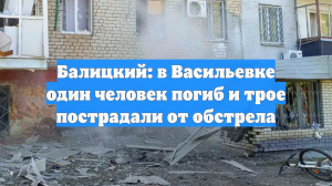 Балицкий: в Васильевке один человек погиб и трое пострадали от обстрела