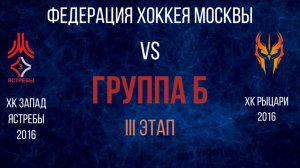 Детский хоккей. Федерация хоккея Москвы. ФХМ. Группа Б. Ястребы 2016.