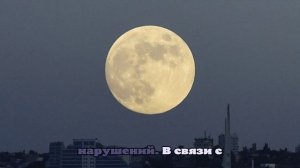 Силы ПВО сбили воздушные цели вблизи Севастополя