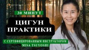 Ци02-22 SFQ Цигун ежедневно с инструктором Misa Tsuyoshi. Цигун Весеннего Леса (Чуньи Лин)