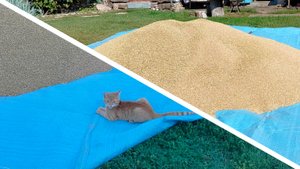 Условия деревенской жизни