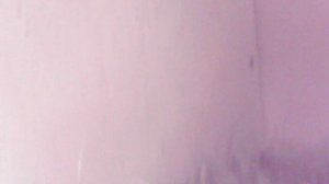 Собираю "куриный урожай" 21 сентября 2025