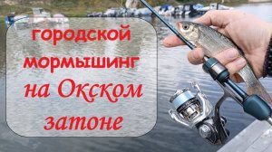 городской мормышинг на Окском затоне