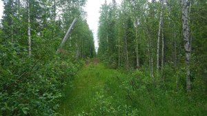 Сплав по Суле. Часть 13: Печорский тракт от Фоминской до 65.096109 48.944296.