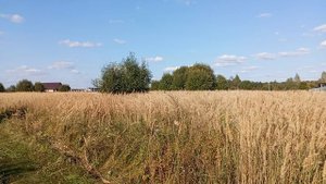 поле Егорьевск