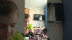 Тима лесорубов 4