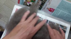 Часть 3. Ческа пуха после стирки