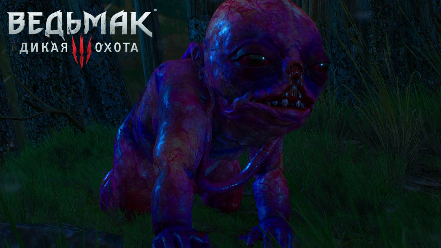 The Witcher 3 Wild Hunt СЕМЕЙНАЯ ССОРА # 7