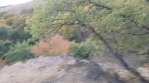 Гуляем по еловому лесу, скалы, и заботимся о природе вместе с вами, собирая банки.