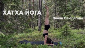 ХАТХА ЙОГА. Продолжающий уровень. Фундамент для ПИНЧА МАЮРАСАНЫ. Плечевой пояс, КОР. 70 минут