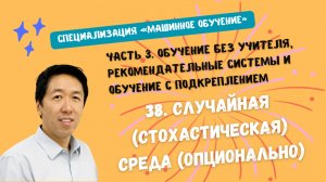 38.Случайная (стохастическая) среда (опционально)