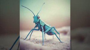 Иван Крылов — Стрекоза и Муравей (вар2)