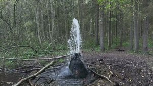 Гатчина. Зачем ехать?