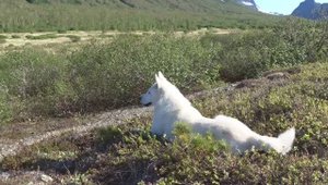 - Белочка, не туда смотришь.