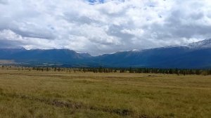 Едем по степи