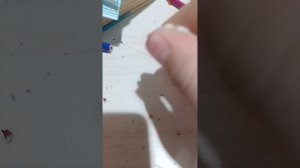 1000009102.mp4