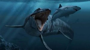 Yerda mavjud bo'lgan Gigant hayvonlar !!!